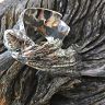 NAPKIN RINGS